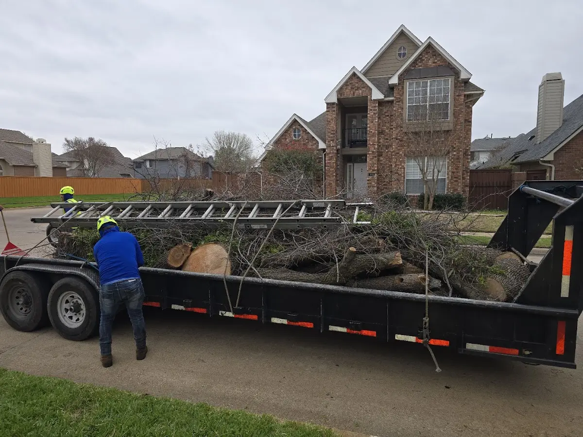 Expert Tree Fertilization with proper safety equipment in Defiance